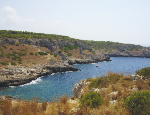 Screenshot 2015-08-03 at 11:11:25 a.m.