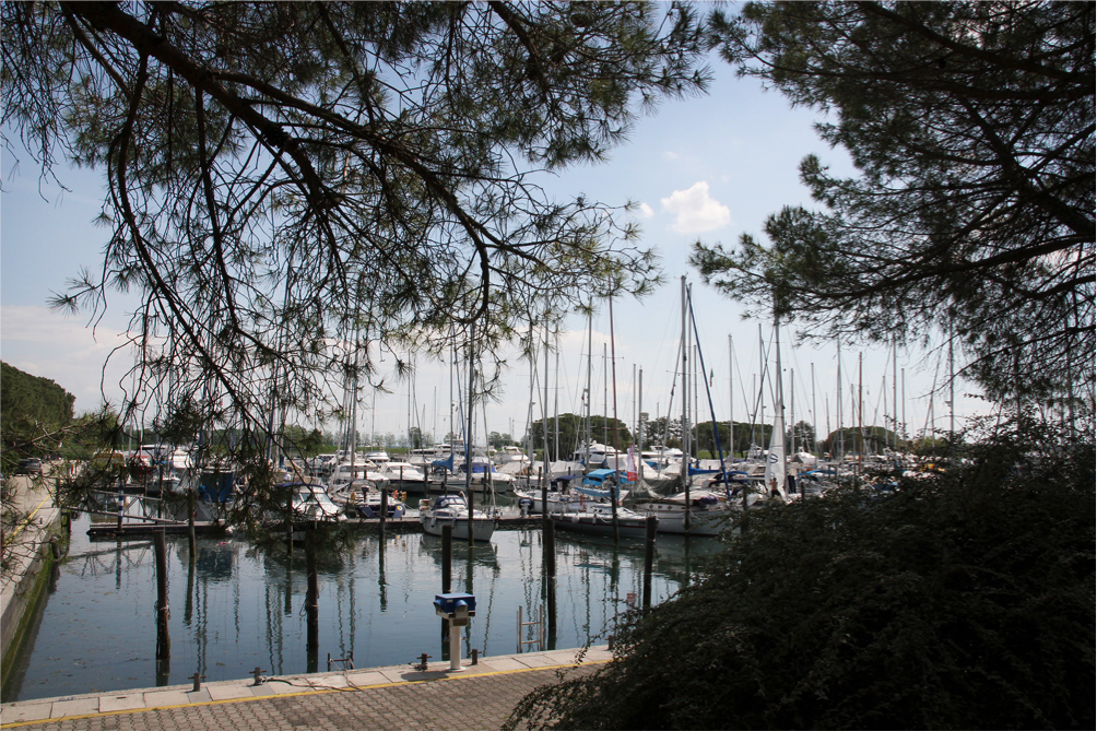 fvg marinas fvg marinas