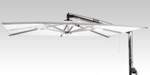 Girasole Evolution Classic