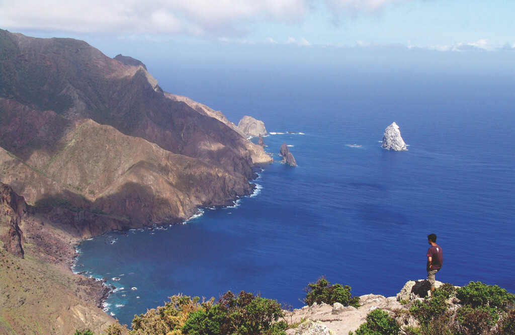 Nature in St. Helena